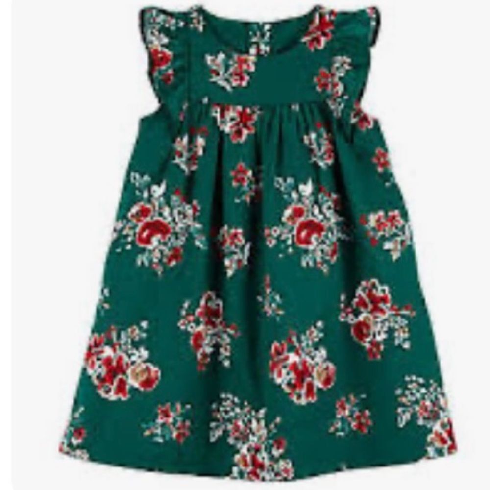 Carter's Girl's SZ 3T Green Red White Floral Girls Dress Flutter Sleeves Lined
